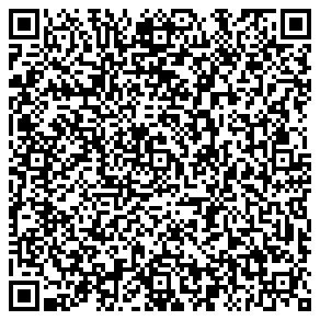 Agent vcard