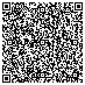 Agent vcard